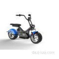 Heavy Load Full Suspension Eco Electric Motorcycle Citycoco